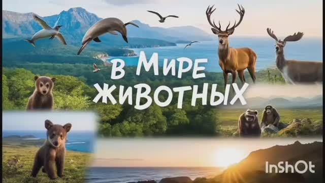 КАКИЕ ЖЕ ОНИ МИЛАШКИ! #рассказы_о_животных 1000058521.mp4