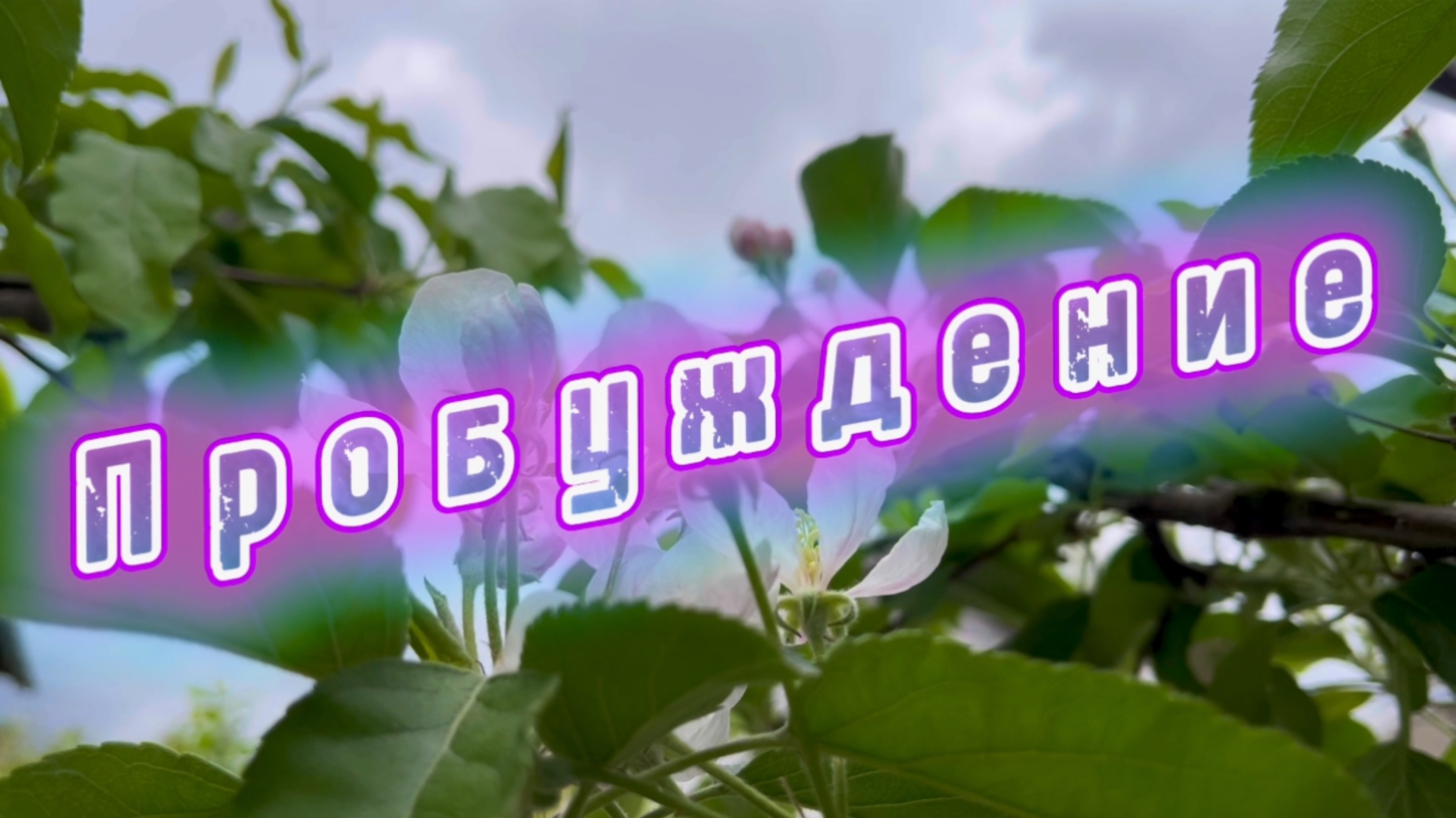 Пробуждение, Сергей Аверьянов, красивая инструментальная музыка