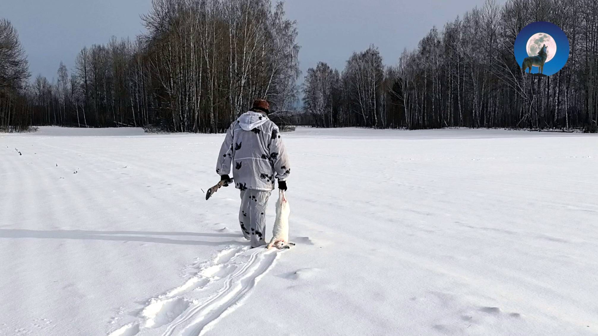 ОХОТА НА ЗАЙЦА ЗИМОЙ. И ТАКОЕ БЫВАЕТ! 🤷