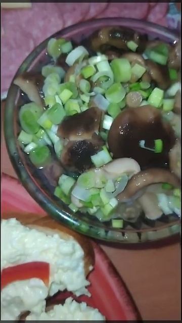 Закуски на праздничный стол.