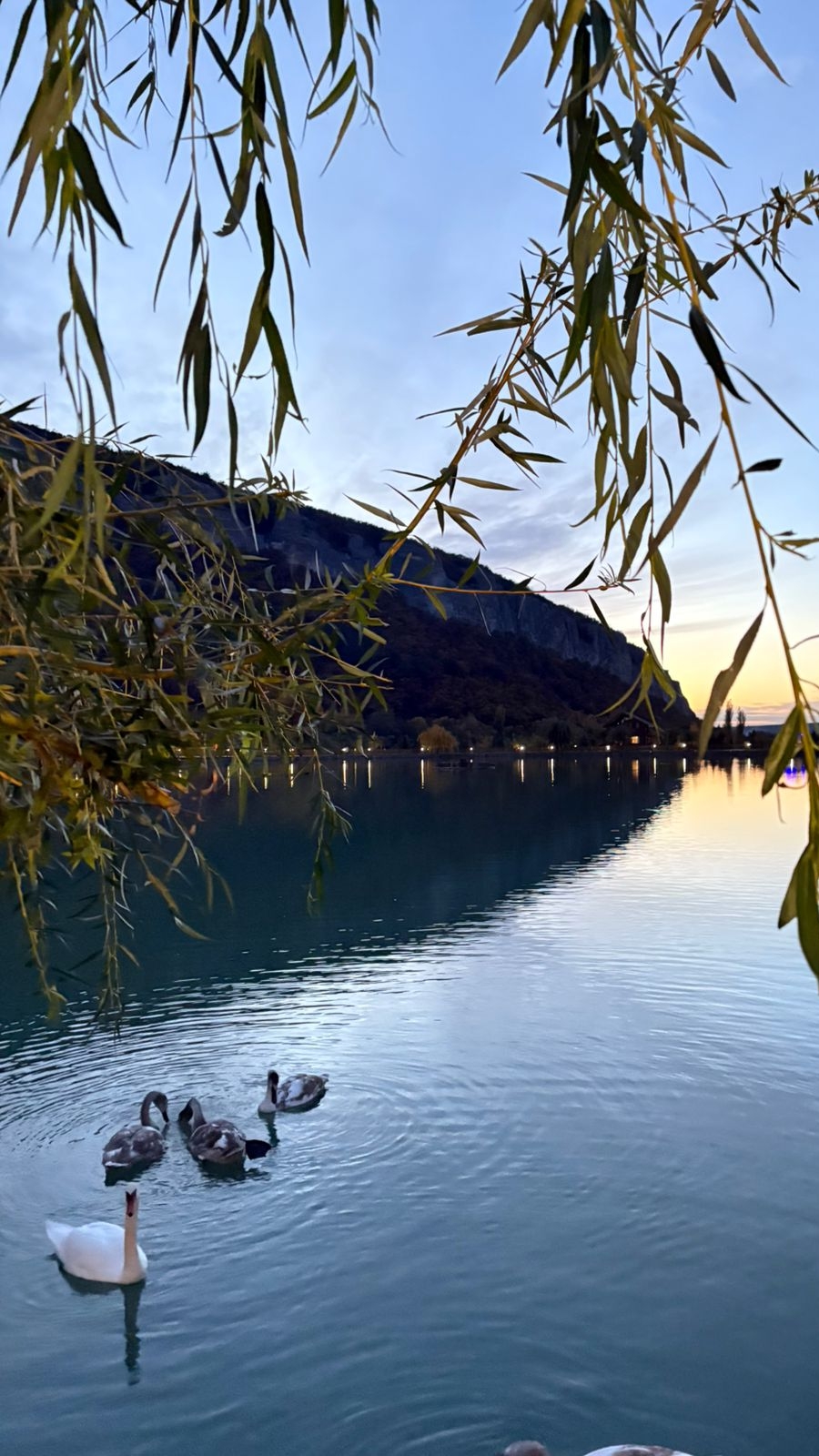 озеро Любви Джанкой Крым