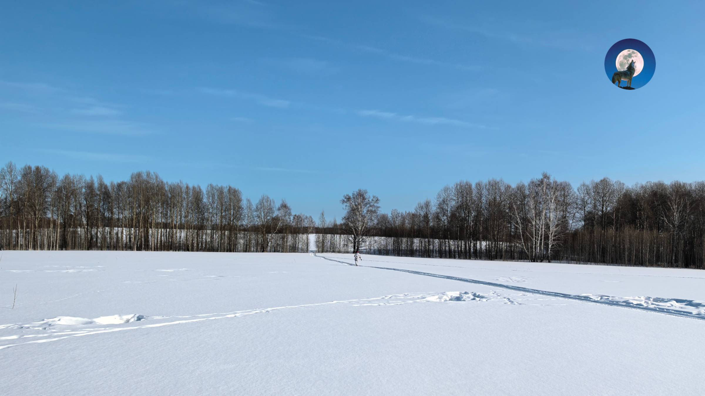 ОХОТА НА ЗАЙЦА ГЛАЗАМИ ЗАГОНЩИКА