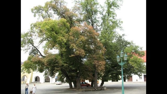 Přerov  12 августа 2009