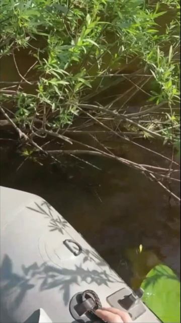 Хочу на рыбалку отпустите меня.