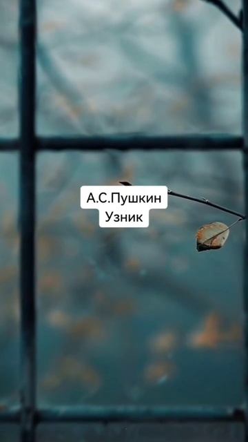 Узник (А.С.Пушкин)