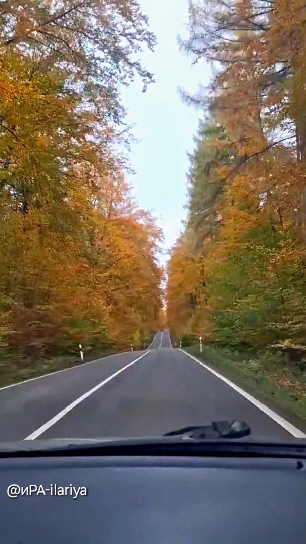 Осенняя дорога