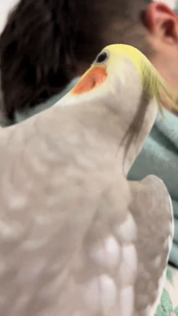 Лучший будильник