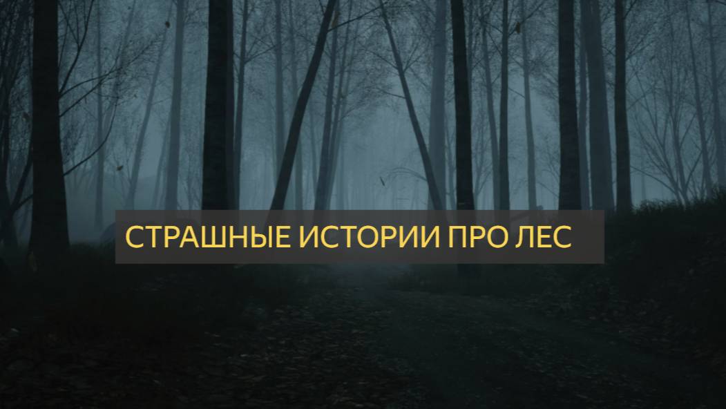 ИСТОРИИ ПРО ЛЕС (Жуткие истории на ночь) Ч.3 ШОРТ