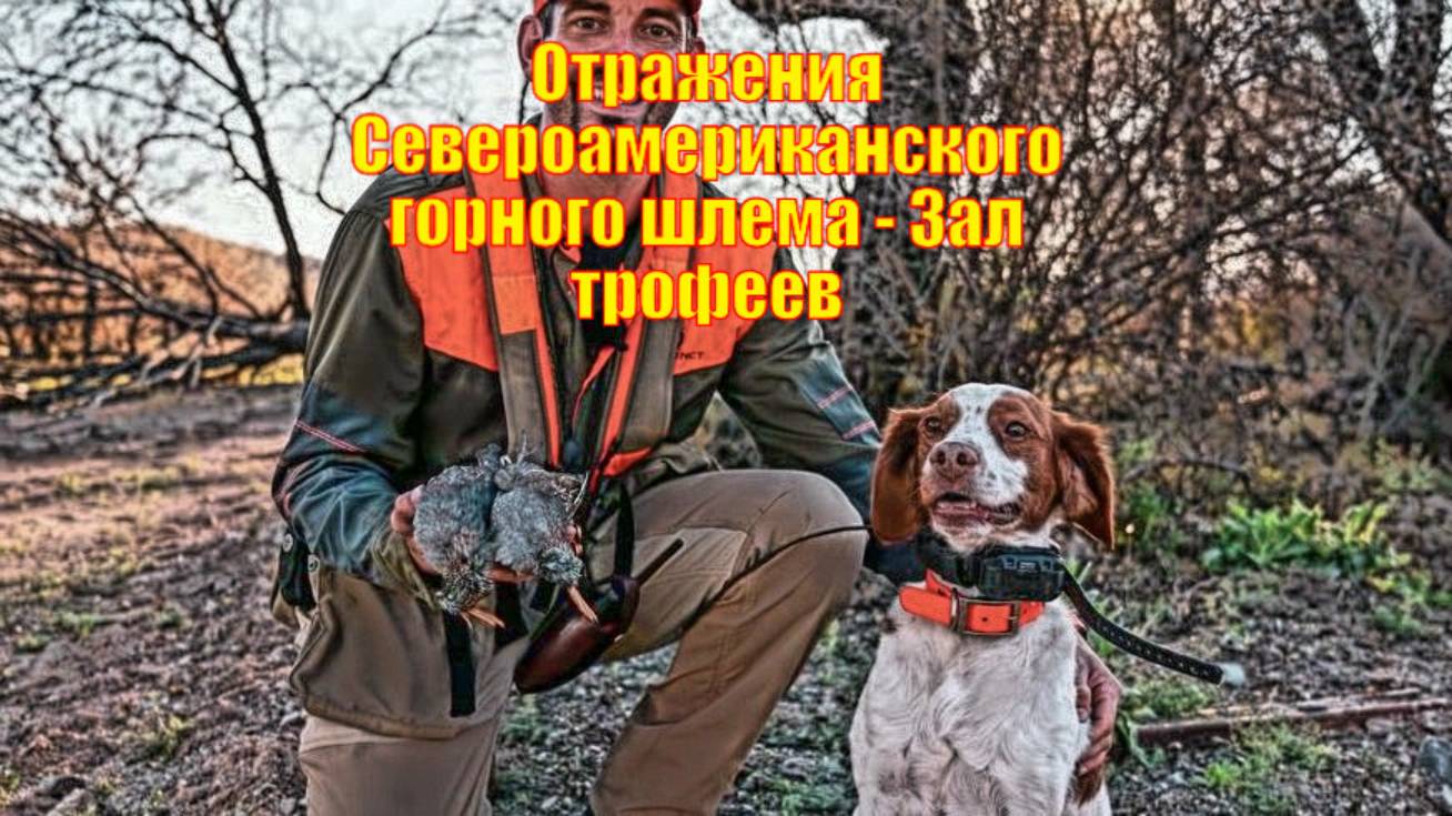 Отражения Североамериканского горного шлема - Зал трофеев