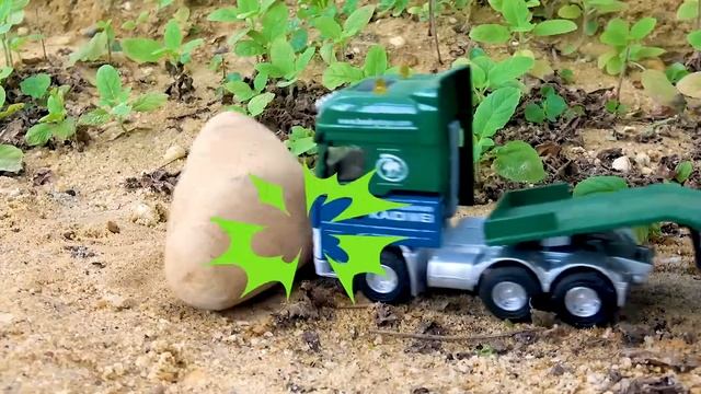 Пожарная машина Грузовик Эвакуатор Бетономешалка Самосвал Полиция