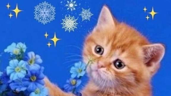 НАШЛИ В ТРЭШ КВАРТИРЕ ЕЛЕ ЖИВУЮ БАБУШКУ.