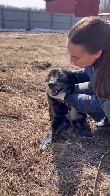 Иногда глаза собаки говорят больше, чем сотни слов. Взгляните, Лёля