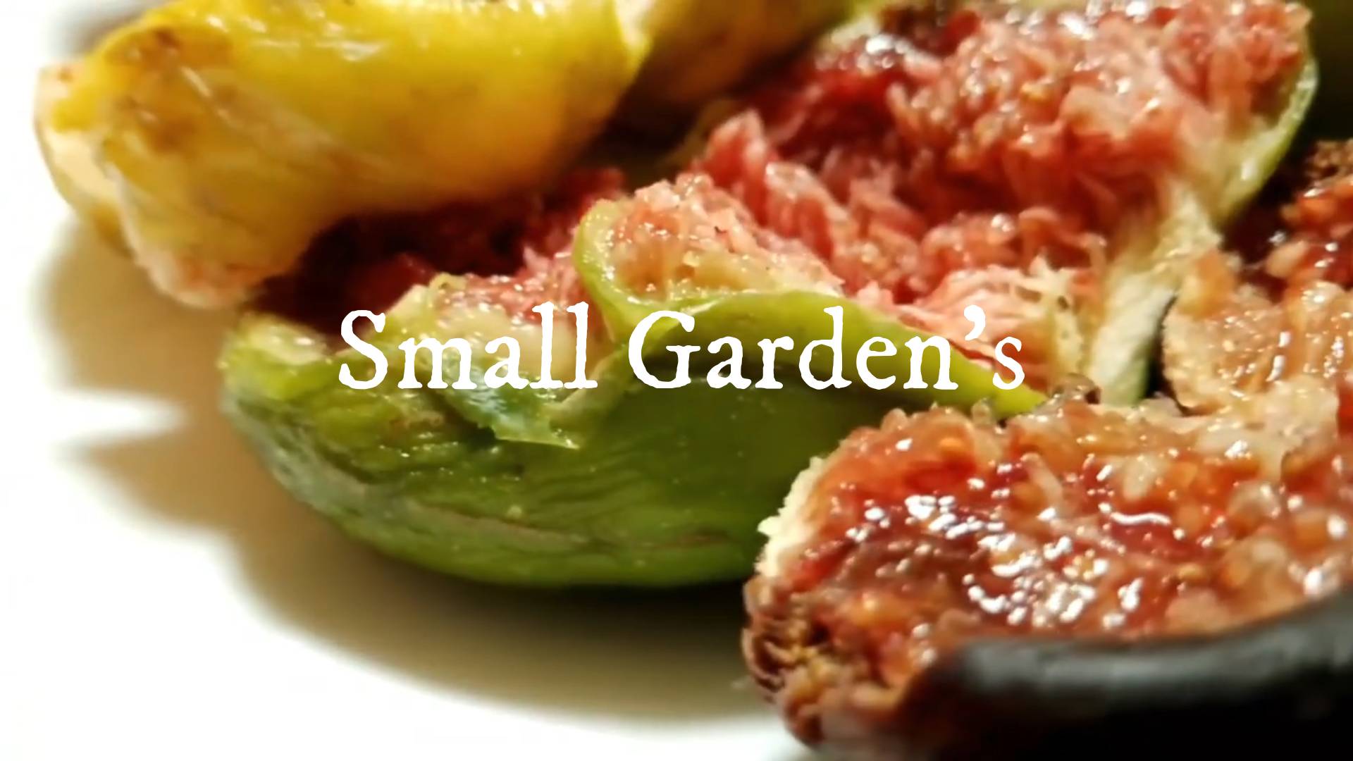 Черенкуем инжир на саженцы вместе с Small Garden's