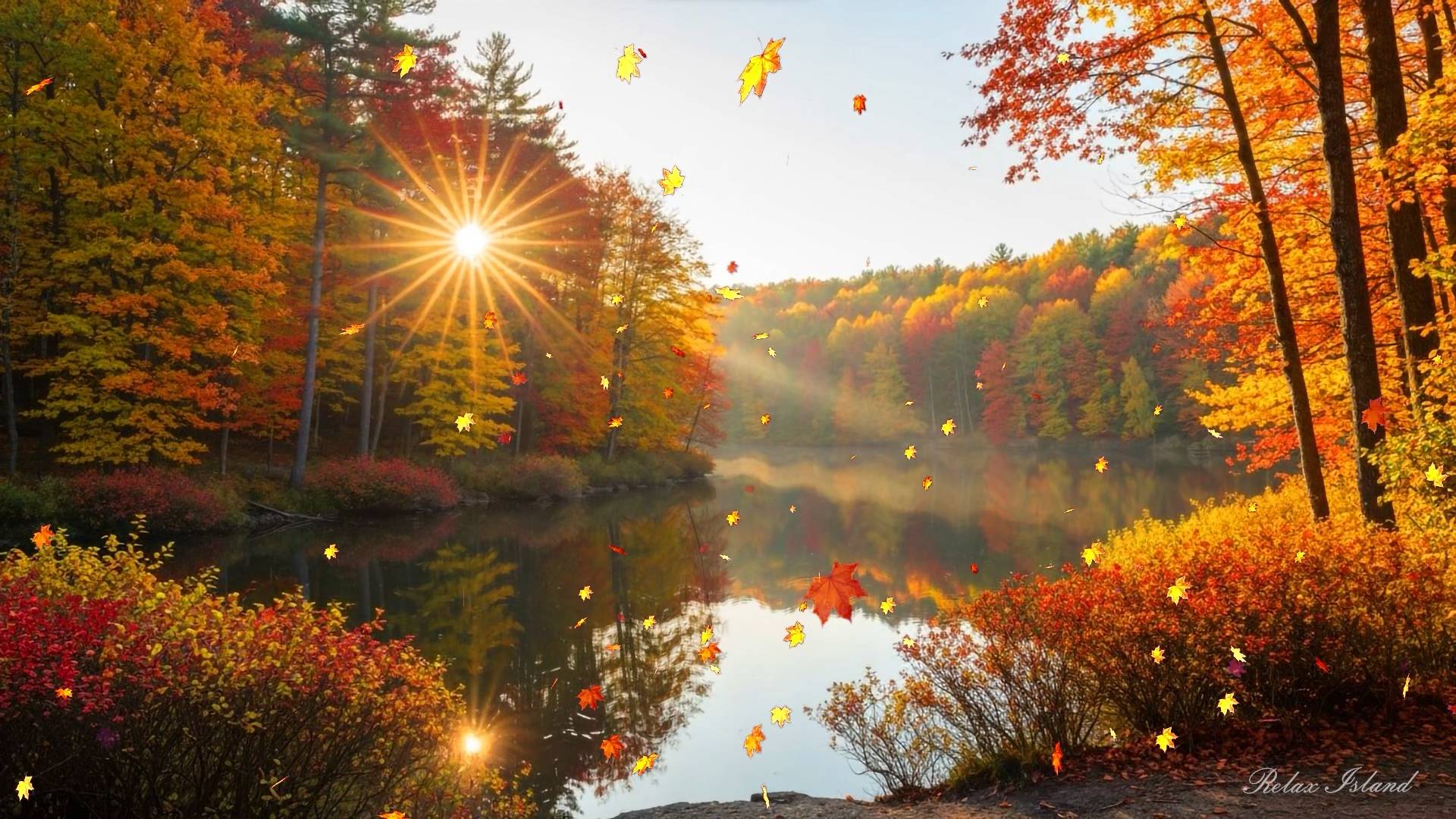 🍂 ОСЕННЯЯ РАССЛАБЛЯЮЩАЯ МУЗЫКА ДЛЯ ДУШИ СЛУШАТЬ БЕСПЛАТНО 🎵 УСПОКАИВАЮЩАЯ МУЗЫКА ДЛЯ СНА