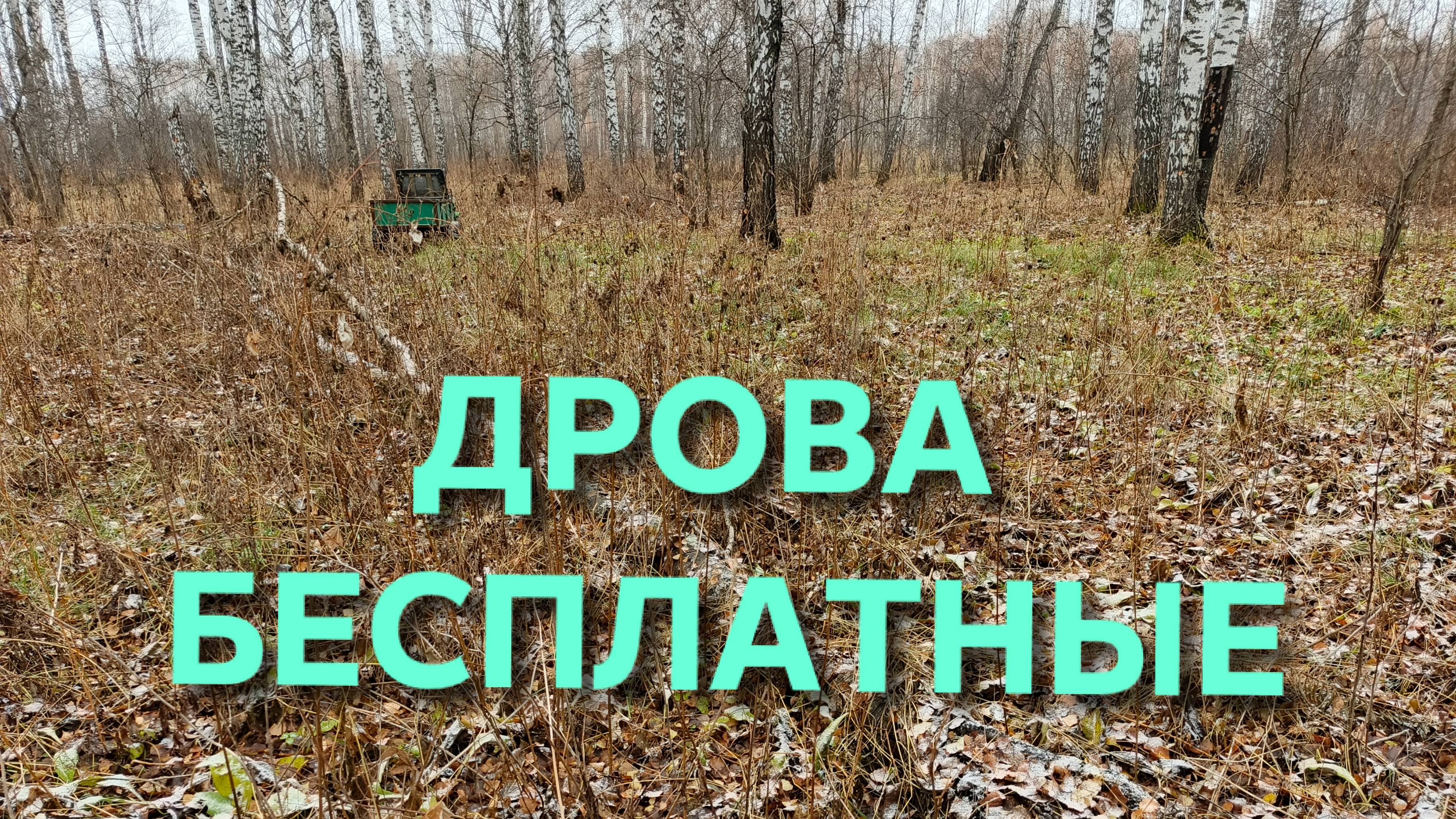 Валежник в лесу тоже дрова и к тому же бесплатные Сегодня опять удачно набрал полную тележку