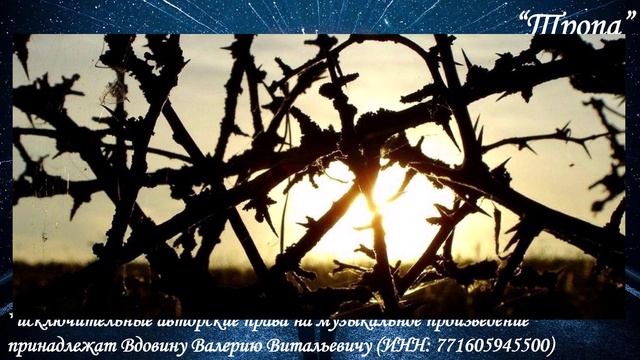 Тропа (вариация 4)