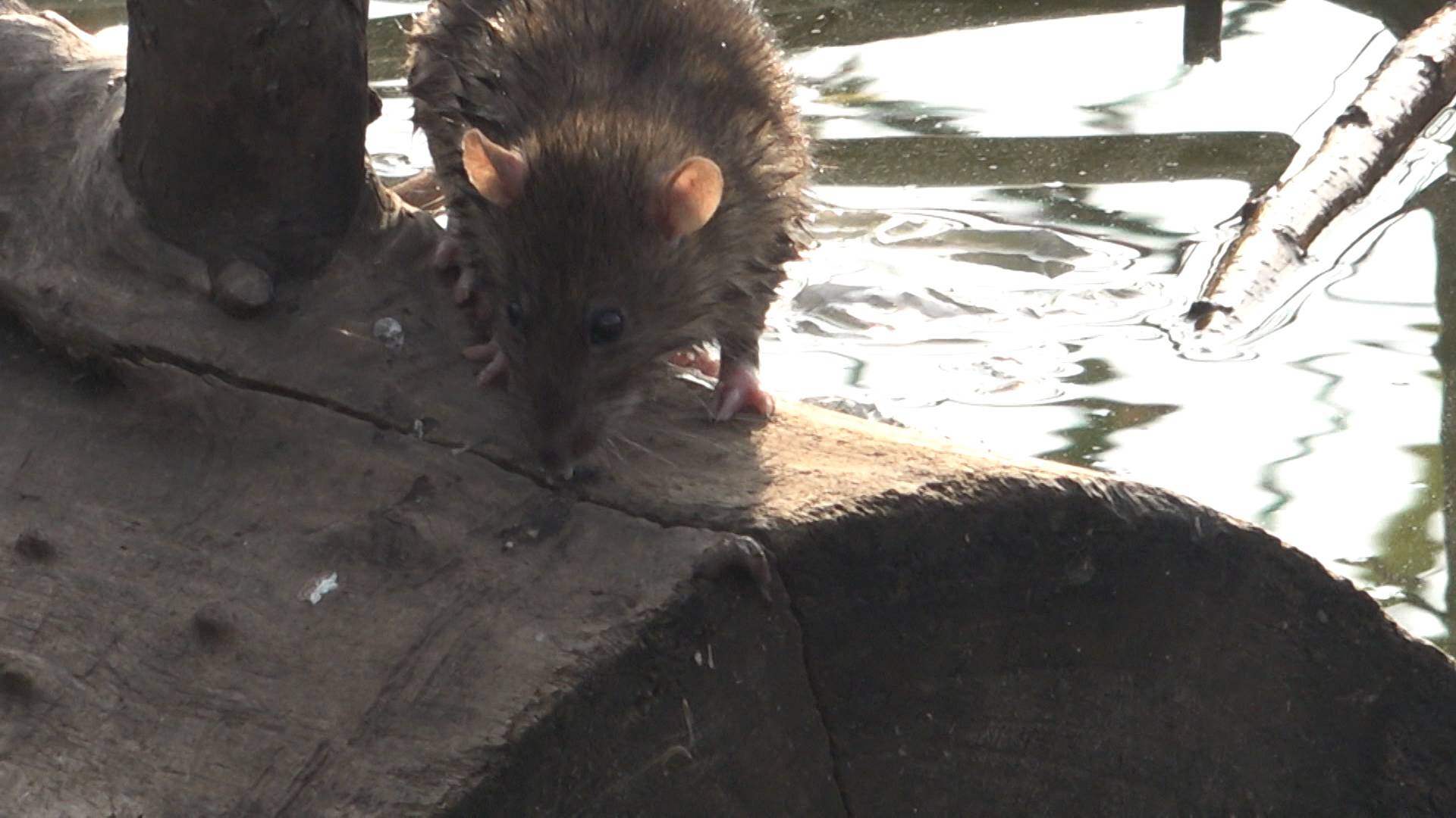 ФАКТЫ. Выпуск от 05.11.2025