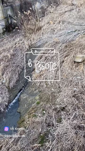 Экология моря Крым Коктебель