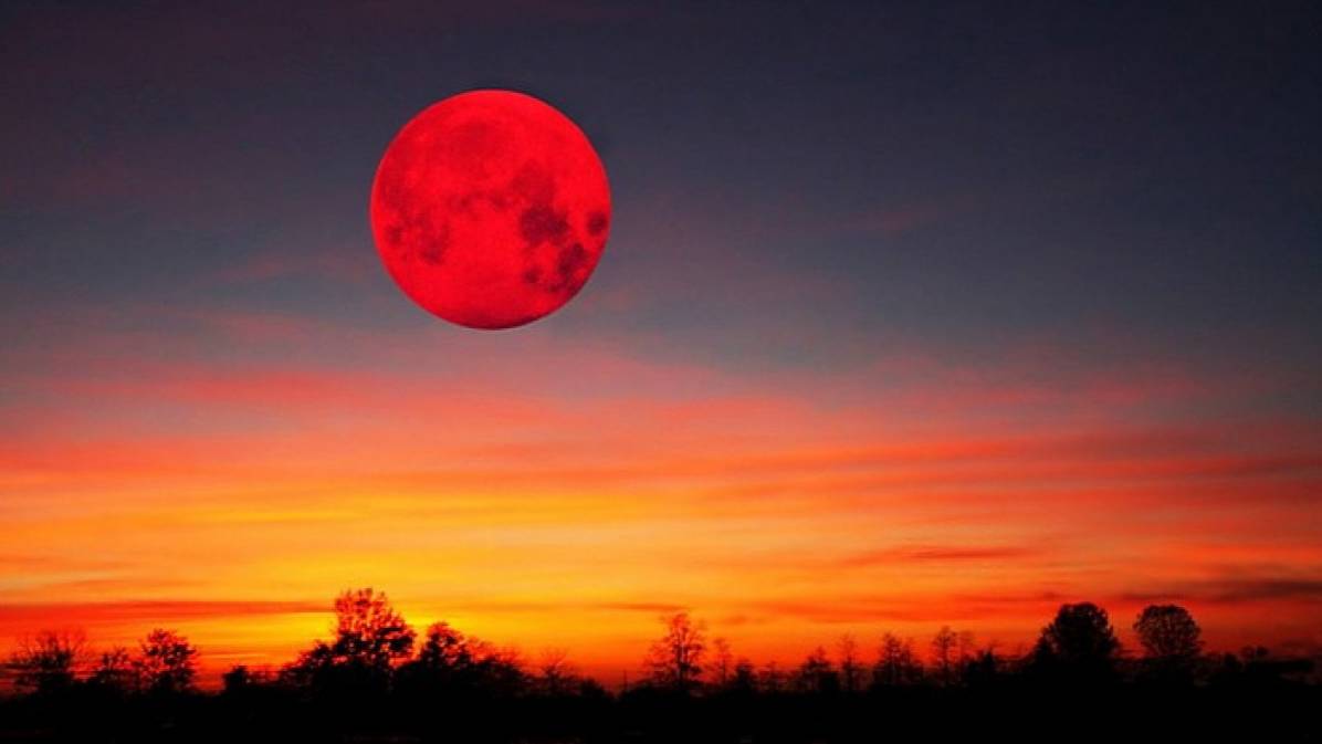 КРОВАВАЯ ЛУНА #1 ЖДЕМ ОРДУ ЗОМБИКОВ