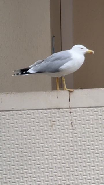 Жизнь хороша, когда все не спеша!