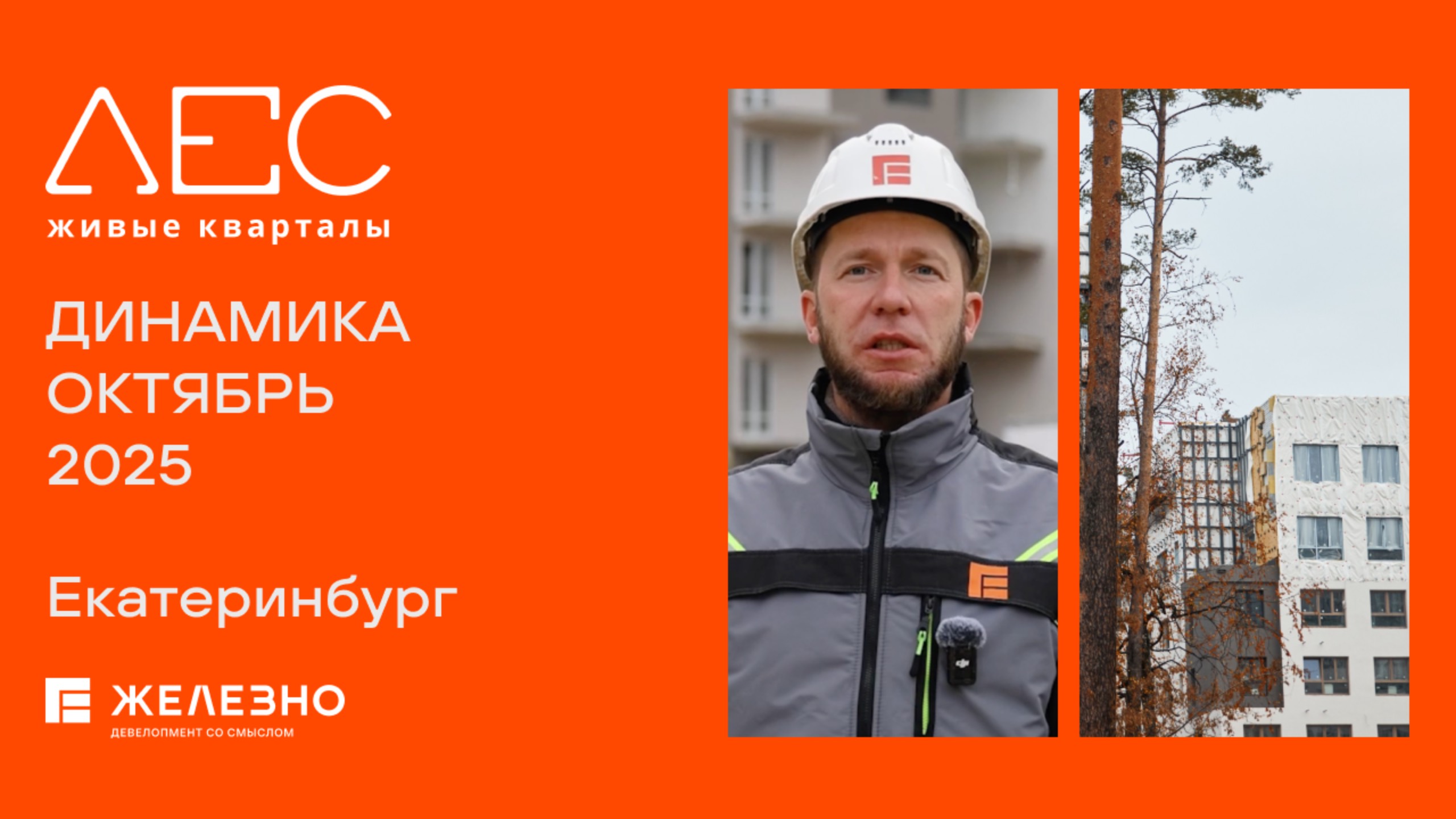 ЛЕС: ход строительства за октябрь