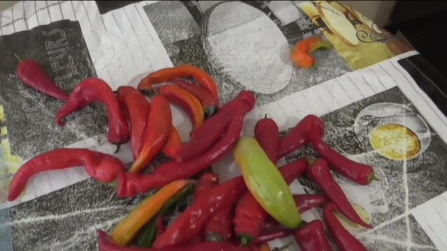 Плоды жгучих перцев сохранились до 6 ноября