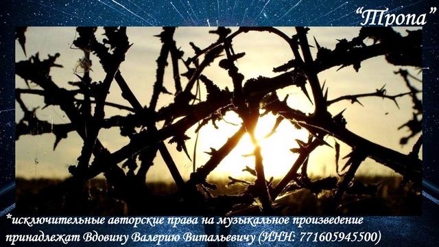 Тропа (вариация 9)