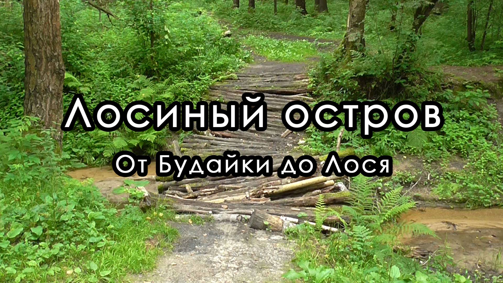По тропам "Лосиного острова". Речка Будайка, речка Лось, пруд Лось.