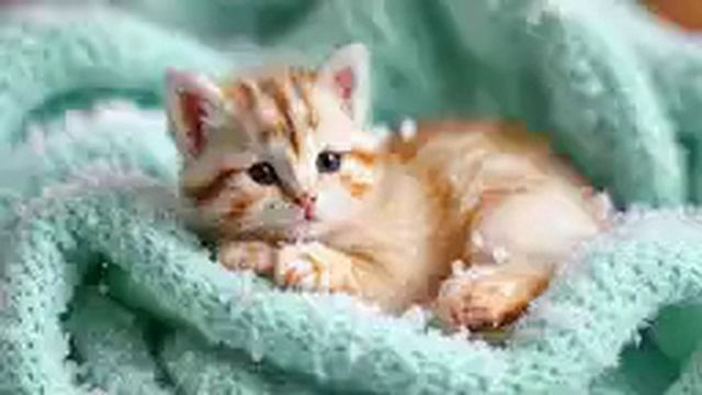 Колыбельные и сказки #16