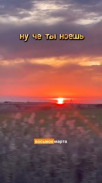 Закат на юге, осенняя хандра, скоро Новый год. Переезд на юг, купила дом в ипотеку, ремонт навечно