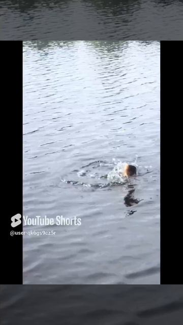 Ленобласть. Хвойное. 11.07.2024. Рыбалка. Река Вуокса. На поплавковую удочку леща, плотву, окуня