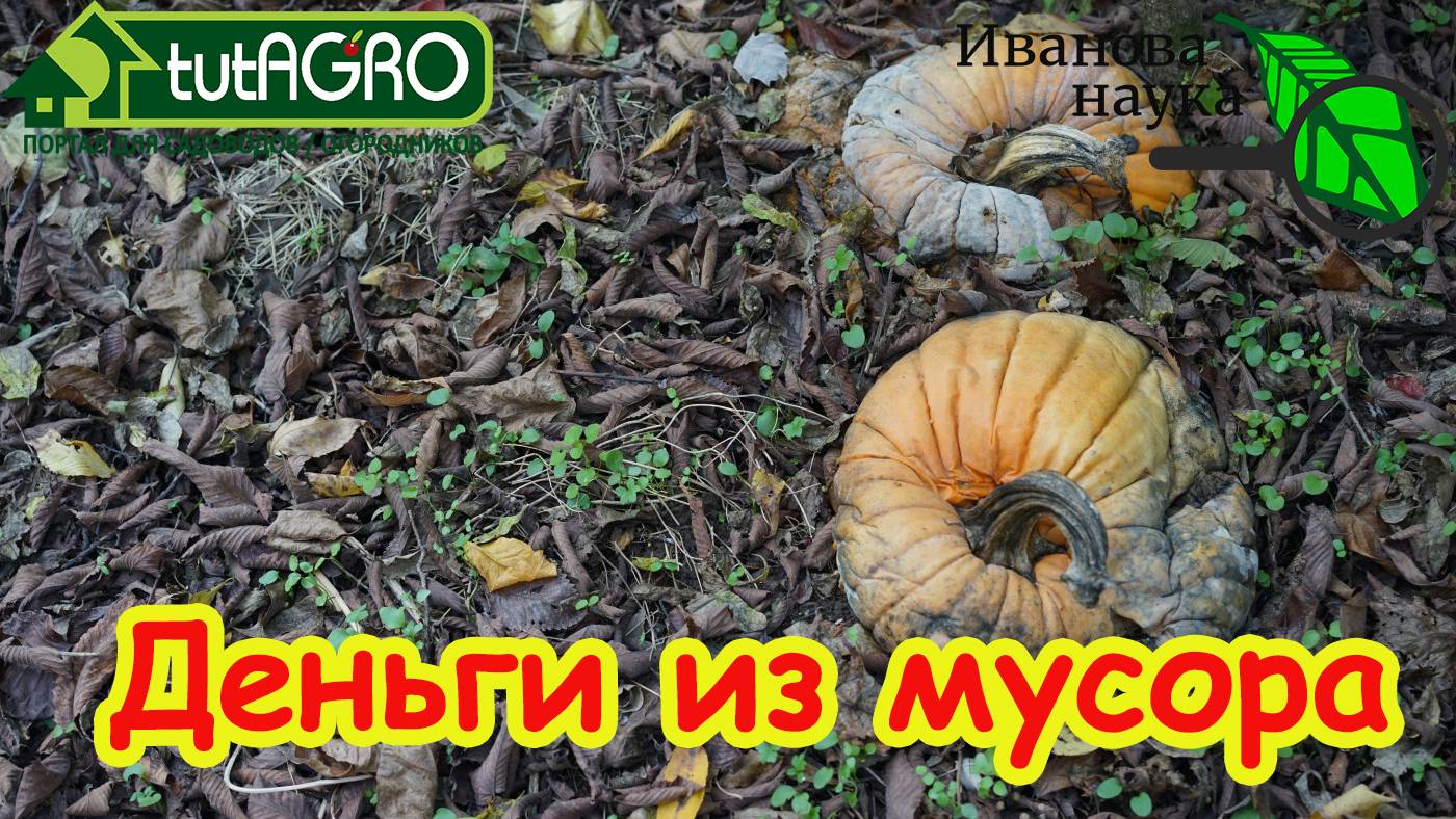 ДЕНЬГИ РАСТУТ НА ДЕРЕВЬЯХ! КУХОННЫЙ МЕТОД СНОВА ПОПУЛЯРЕН: обычный мусор превращаем в удобрение.