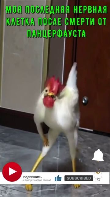 PUBG: Запретите панцерфауст!