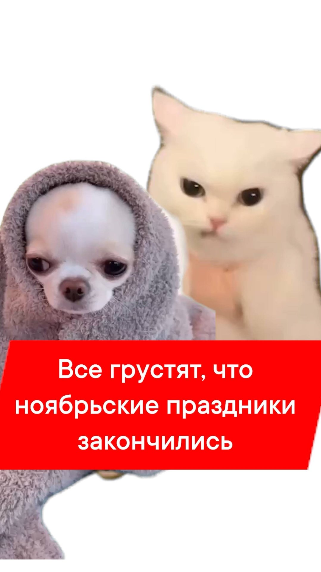 ПОЛНЫЙ ДЖИНГЛ БЕЛС 🌲☃️🌟