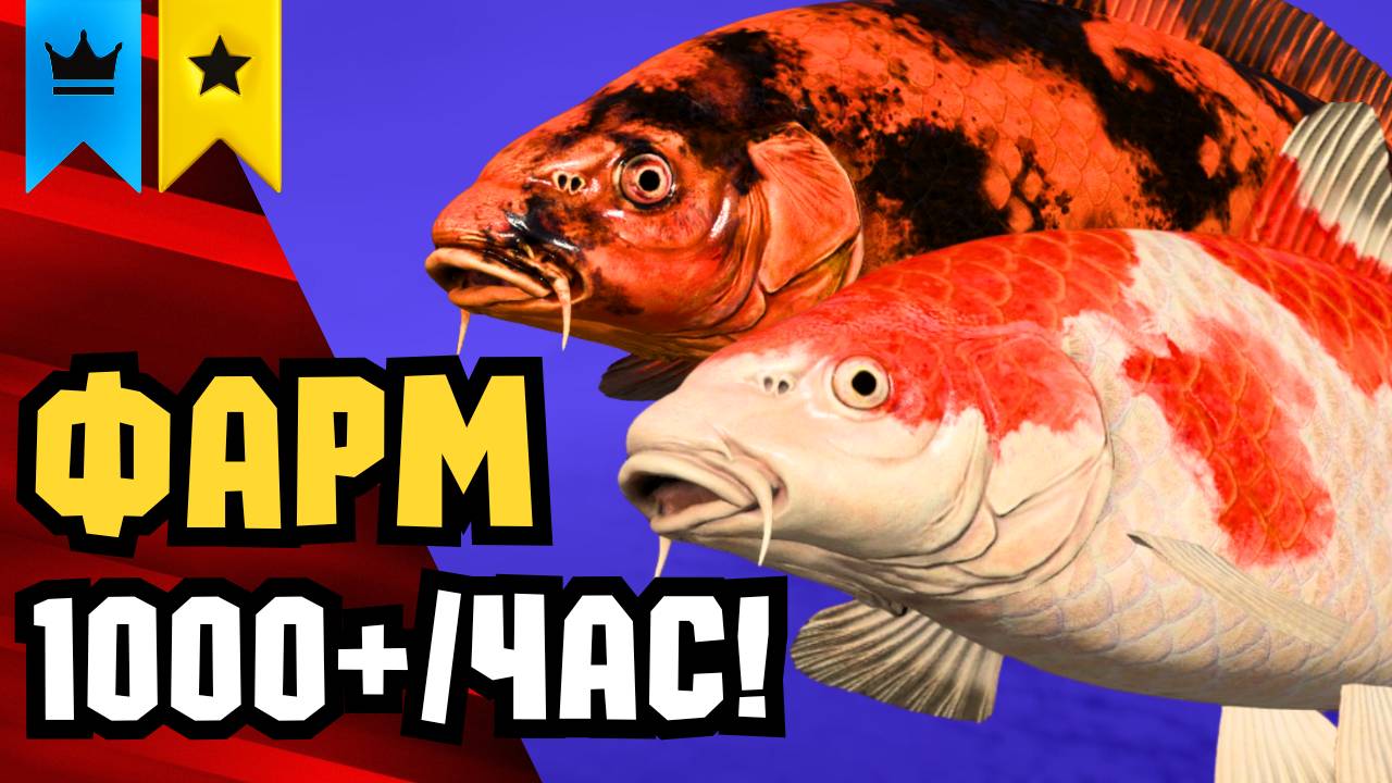 🤑 НОВЫЕ ТОЧКИ ФАРМА РР4! Раздача ТРОФОВ • МЕДНОЕ Фарм