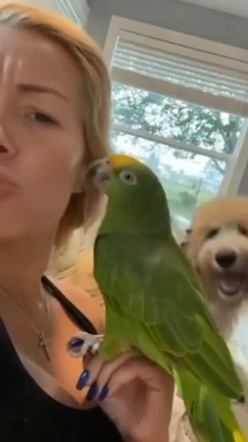 Р - ревность