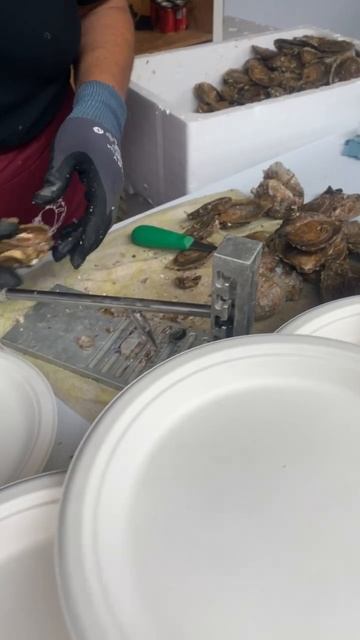 Открываем устрицы.  Ярмарка морепродуктов. O Grove