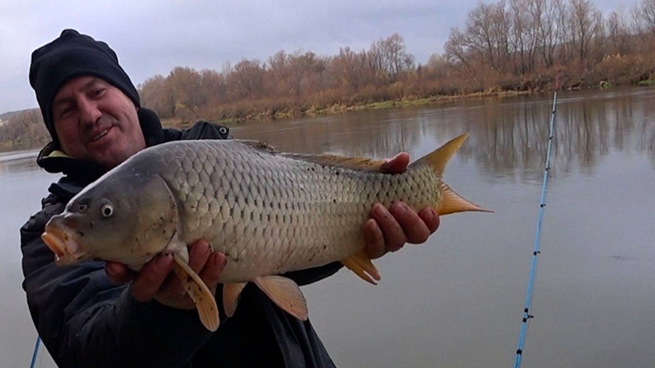 От холодной воды сводит руки, а САЗАН КЛЮЁТ на Дону!