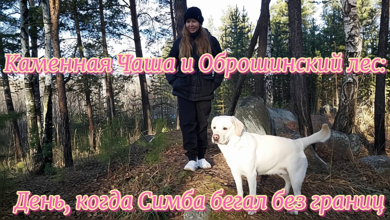 Каменная Чаша и Оброшинский лес: день, когда Симба бегал без границ