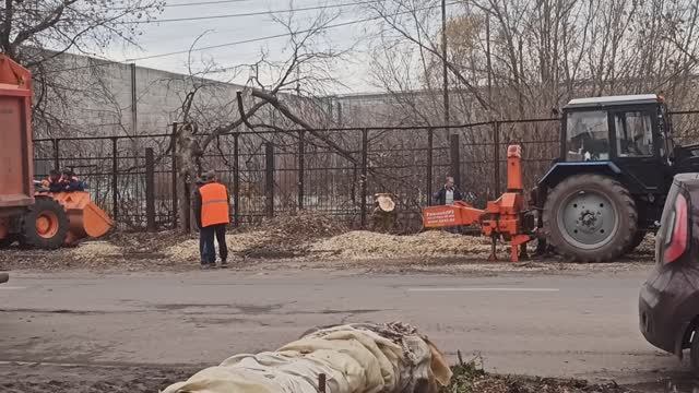 Осеннее прореживание порасли на улице Адмирала Нахимова