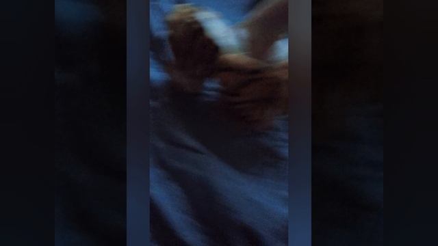 КАК НАКОРМИТЬ УЛЫБАЮЩИЙСЯ КОМНАТУ. 100 СЛОЕВ ЕДЫ челлендж.