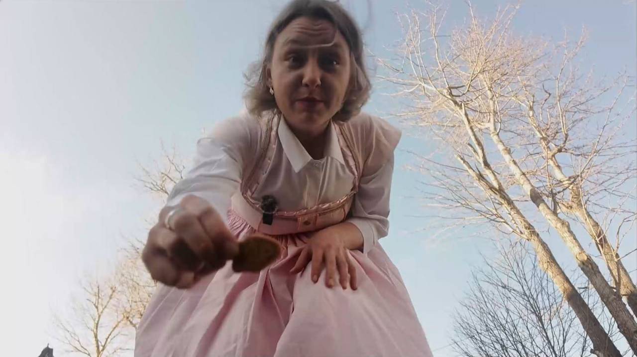 Видеообзор на фильм "Алиса в стране чудес" (реж. Юрий Хмельницкий)