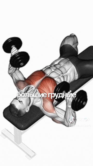 🤜 🤛/ДЛЯ ДОМА И ЗАЛА/Все в твоих руках, действуй/017