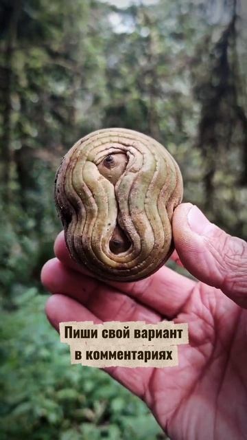 Психологический тест из Непала — делитесь в комментариях, кто что увидел 👇