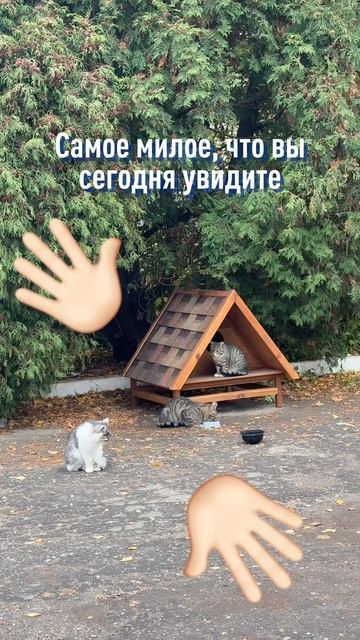 РГУ – дом не только для студентов ❤️