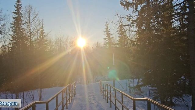 Жизнь за полярным кругом. Гуляем. Ямало-Ненецкий АО Лабытнанги ЖизньСеверян. ноябрь 2025