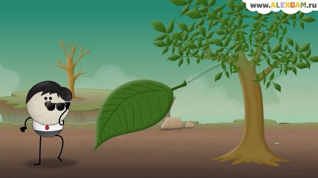 Почему листья меняют цвет и опадают?