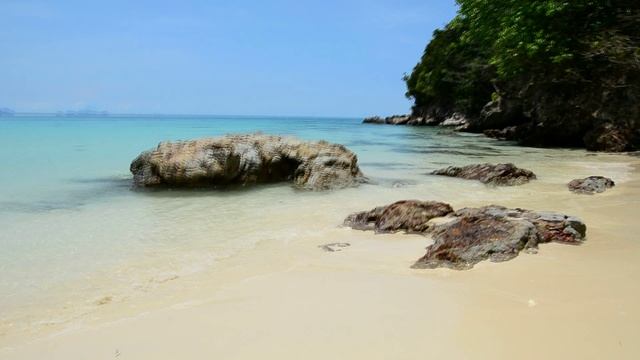 Дикая природа - Море (релакс)