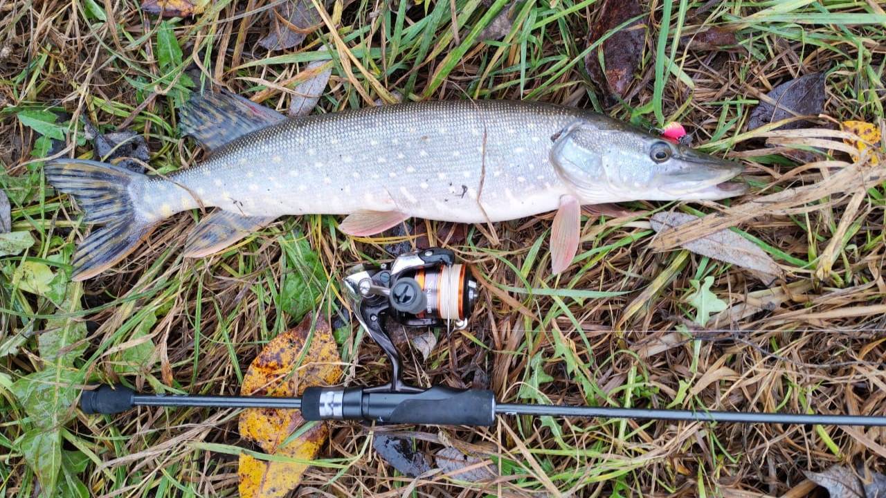 Десна у мостов. Ультралайт 3 ноября 2025 года