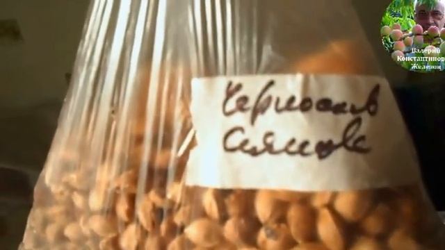 6.  Видеоуроки В. Железова №5.  ``Семена   золотой запас России!``